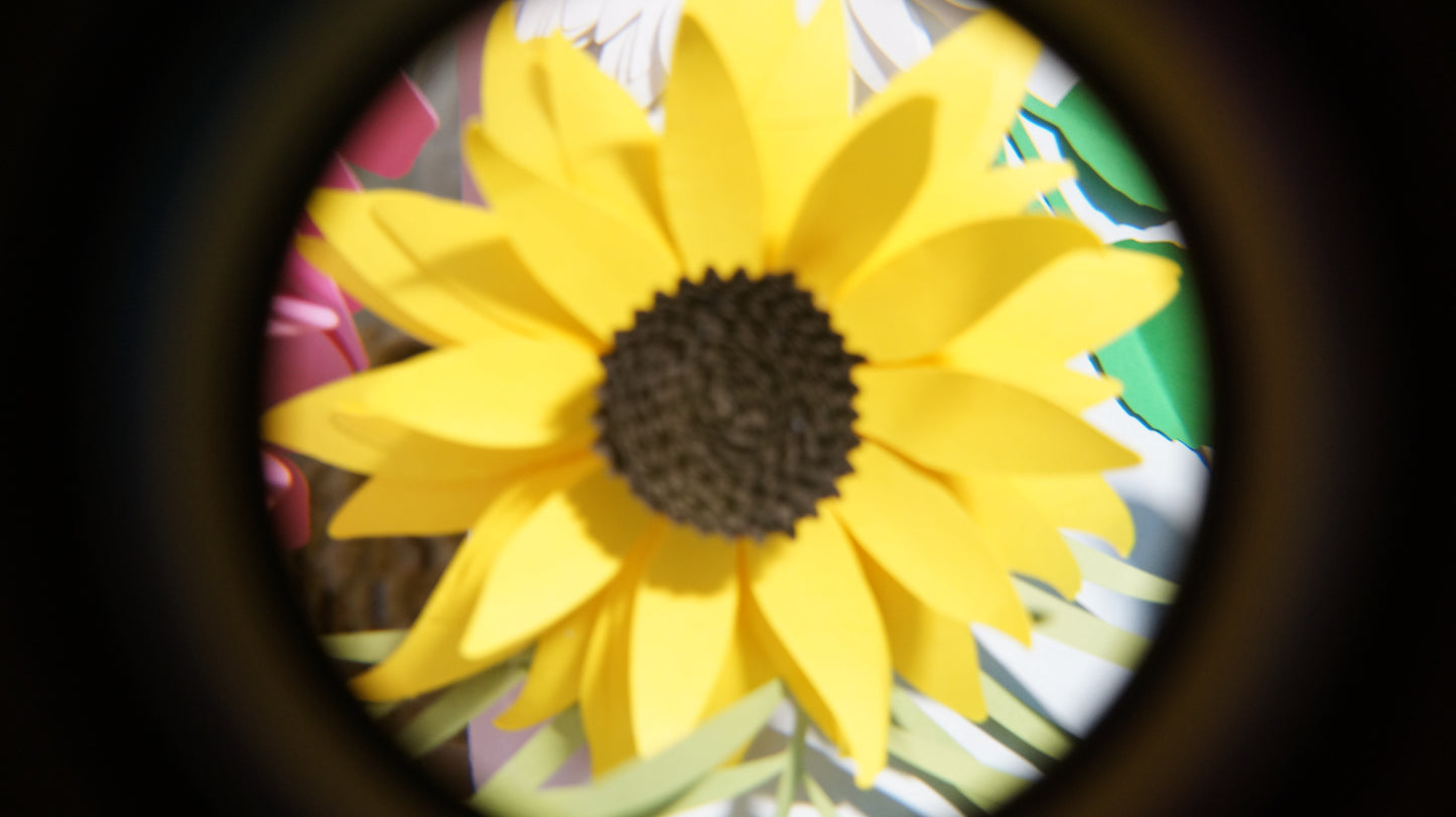 Sunflower small